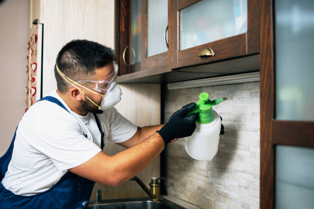 Pest Control for Restaurants in Morongo Valley, CA
