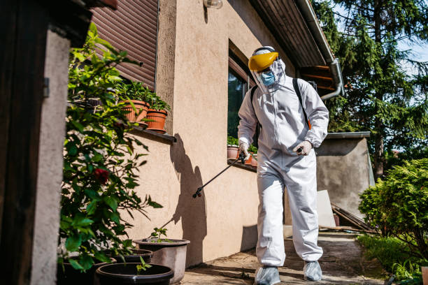 Best Pest Control Near Me  in Morongo Valley, CA