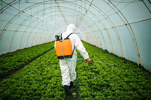  Morongo Valley, CA Pest Control Pros