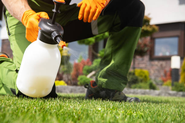 Best Bird Control  in Morongo Valley, CA