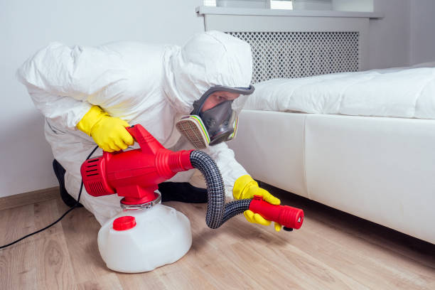 Best Pest Prevention Services  in Morongo Valley, CA