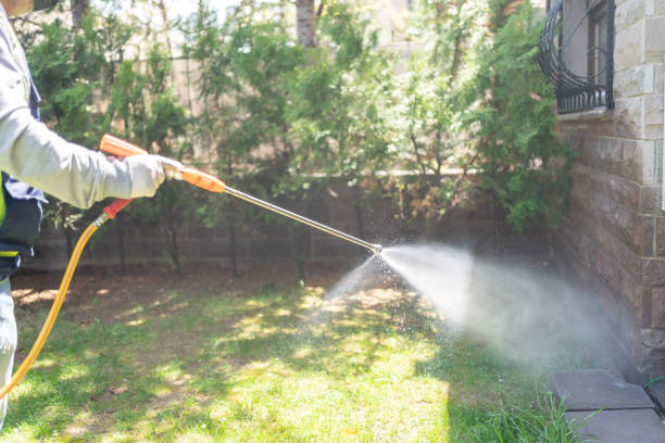 Best Spider Control Near Me  in Morongo Valley, CA