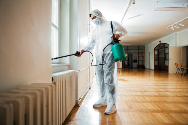 Reliable Morongo Valley, CA Pest Control Solutions
